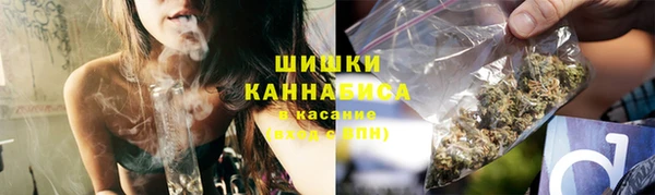 ГАЛЛЮЦИНОГЕННЫЕ ГРИБЫ Арсеньев