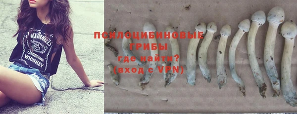 гидра Алзамай